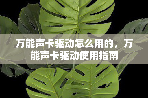 万能声卡驱动怎么用的,万能声卡驱动使用指南 万能声卡驱动怎么用的,万能声卡驱动使用指南