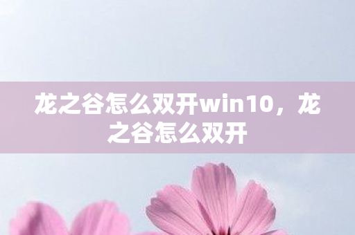 龙之谷怎么双开win10，龙之谷怎么双开