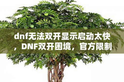dnf无法双开显示启动太快，DNF双开困境，官方限制与资源分配的挑战
