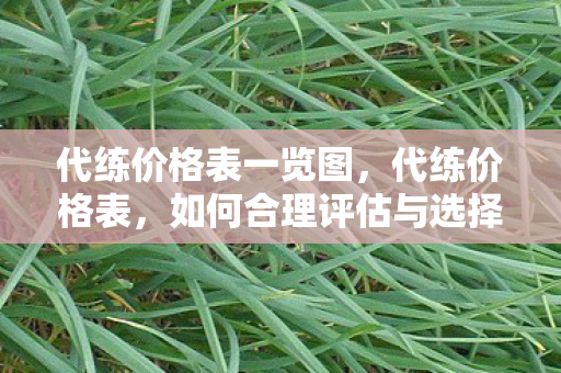 代练价格表一览图,代练价格表,如何合理评估与选择 代练价格表一览图,代练价格表,如何合理评估与选择
