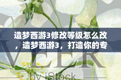 造梦西游3修改等级怎么改，造梦西游3，打造你的专属西游之旅