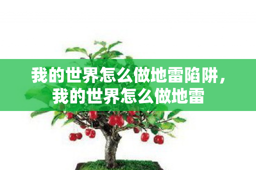 我的世界怎么做地雷陷阱，我的世界怎么做地雷