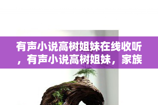 有声小说高树姐妹在线收听，有声小说高树姐妹，家族命运的交织与传承