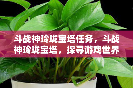 斗战神玲珑宝塔任务，斗战神玲珑宝塔，探寻游戏世界的奇幻之旅
