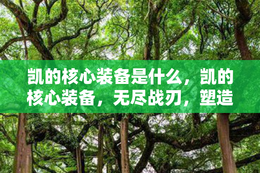 凯的核心装备是什么，凯的核心装备，无尽战刃，塑造王者之路