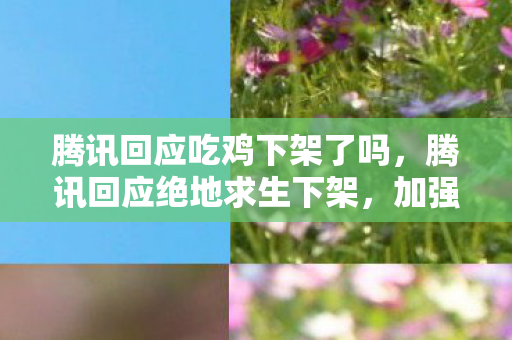 腾讯回应吃鸡下架了吗，腾讯回应绝地求生下架，加强内容审核，保障用户健康