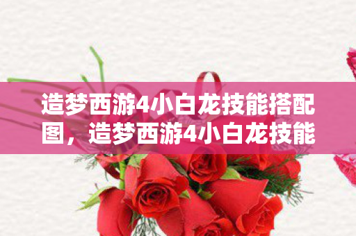 造梦西游4小白龙技能搭配图，造梦西游4小白龙技能搭配