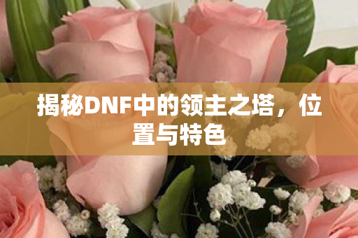 揭秘DNF中的领主之塔，位置与特色