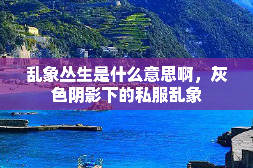 乱象丛生是什么意思啊，灰色阴影下的私服乱象