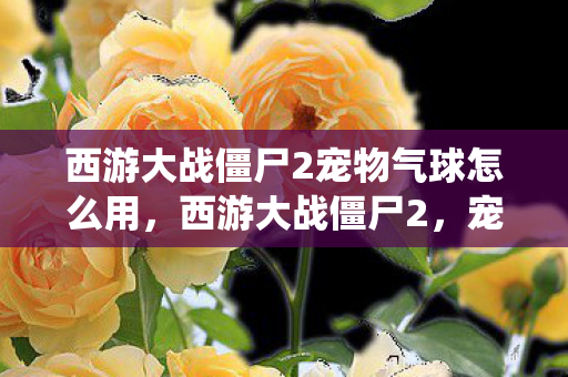 西游大战僵尸2宠物气球怎么用,西游大战僵尸2,宠物气系统深度解析 西游大战僵尸2宠物气球怎么用,西游大战僵尸2,宠物气系统深度解析