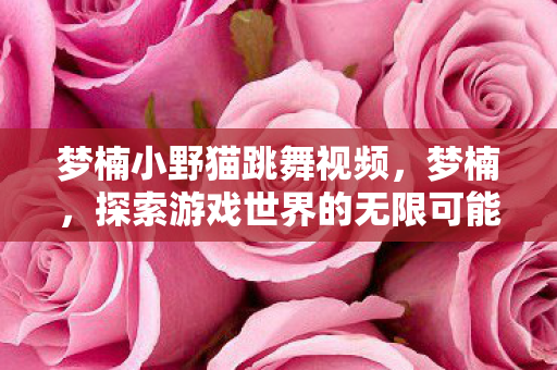 梦楠小野猫跳舞视频，梦楠，探索游戏世界的无限可能