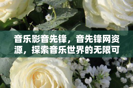 音乐影音先锋，音先锋网资源，探索音乐世界的无限可能