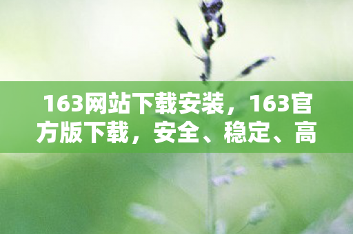 163网站下载安装，163官方版下载，安全、稳定、高效的选择