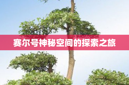 赛尔号神秘空间的探索之旅