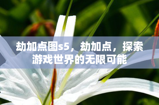 劫加点图s5，劫加点，探索游戏世界的无限可能