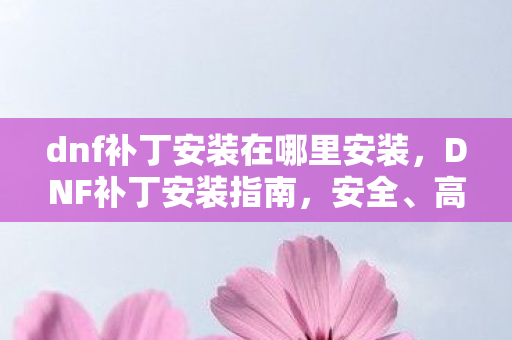 dnf补丁安装在哪里安装，DNF补丁安装指南，安全、高效、官方认证