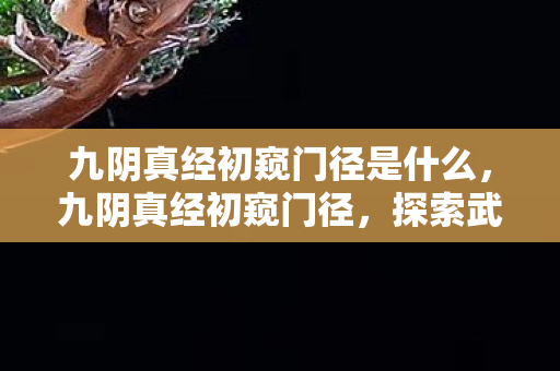 九阴真经初窥门径是什么，九阴真经初窥门径，探索武侠世界的奥秘