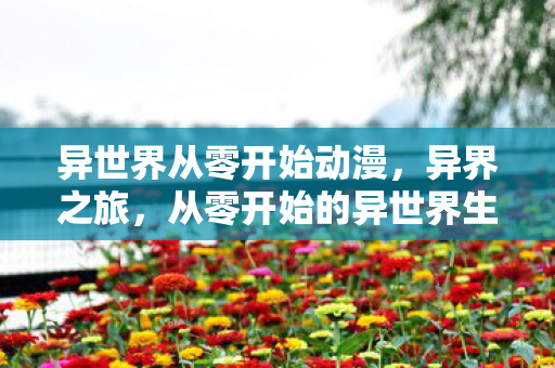 异世界从零开始动漫，异界之旅，从零开始的异世界生活