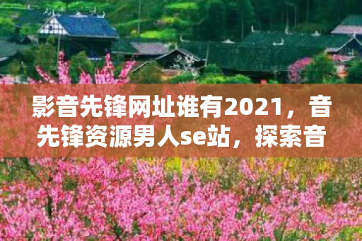 影音先锋网址谁有2021，音先锋资源男人se站，探索音乐与艺术的无限可能