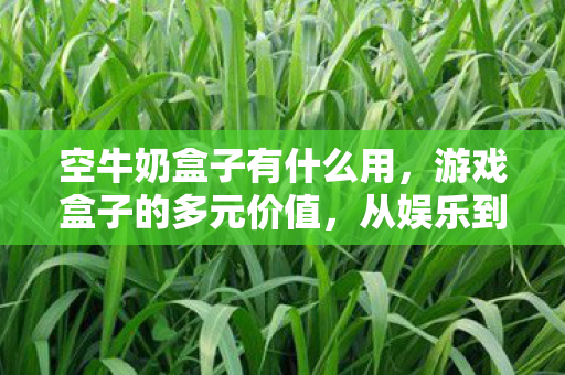 空牛奶盒子有什么用，游戏盒子的多元价值，从娱乐到社交的桥梁