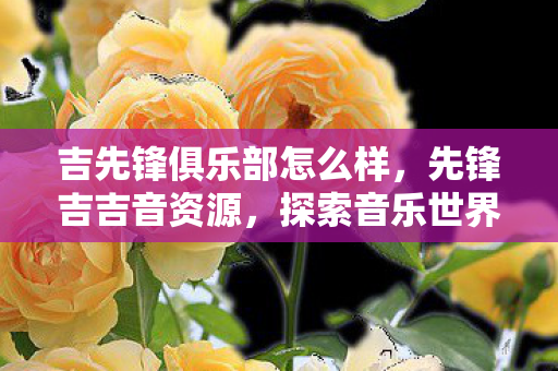 吉先锋俱乐部怎么样，先锋吉吉音资源，探索音乐世界的无限可能