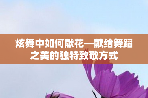炫舞中如何献花—献给舞蹈之美的独特致敬方式