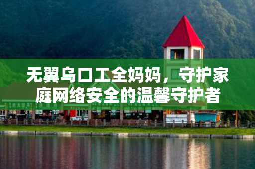无翼乌口工全妈妈，守护家庭网络安全的温馨守护者