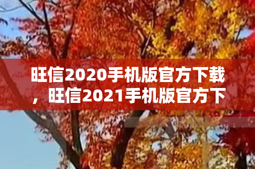 旺信2020手机版官方下载，旺信2021手机版官方下载，高效沟通，从指尖开始