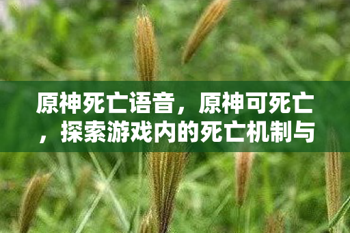 原神死亡语音，原神可死亡，探索游戏内的死亡机制与玩家体验