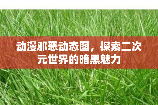 动漫邪恶动态图，探索二次元世界的暗黑魅力