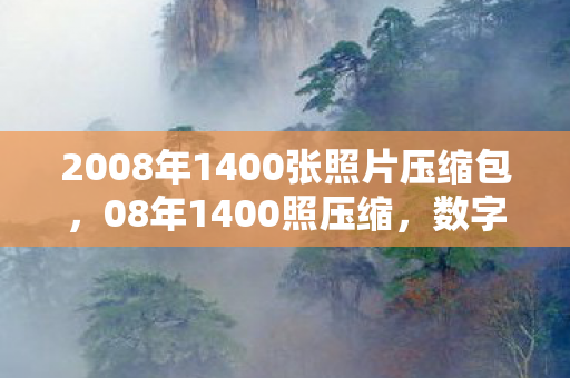 2008年1400张照片压缩包，08年1400照压缩，数字时代的照片管理革命