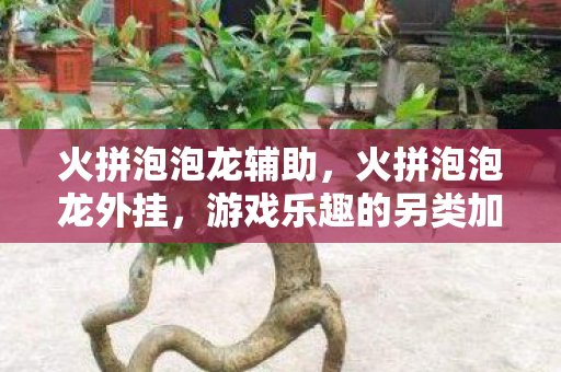 火拼泡泡龙辅助，火拼泡泡龙外挂，游戏乐趣的另类加速器