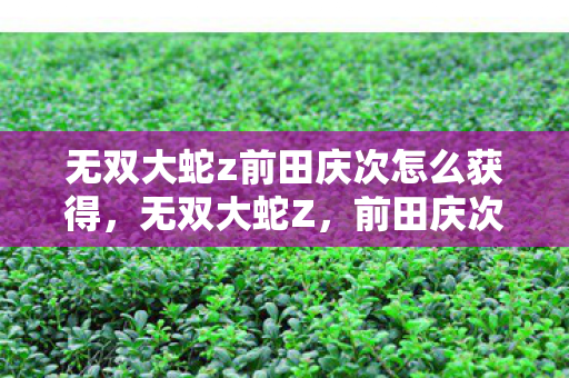 无双大蛇z前田庆次怎么获得，无双大蛇Z，前田庆次的荣耀与传奇