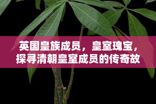 英国皇族成员，皇室瑰宝，探寻清朝皇室成员的传奇故事