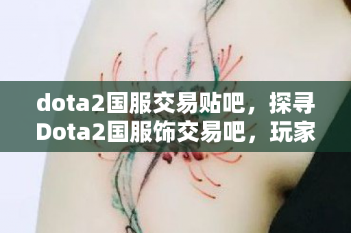 dota2国服交易贴吧，探寻Dota2国服饰交易吧，玩家社区的宝藏与规范