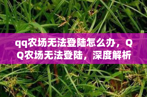 qq农场无法登陆怎么办，QQ农场无法登陆，深度解析背后的原因与解决方案