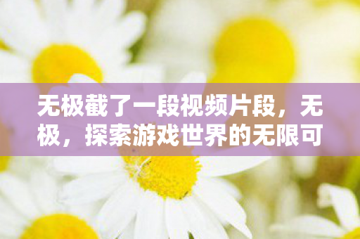 无极截了一段视频片段，无极，探索游戏世界的无限可能