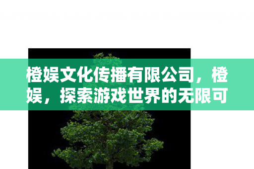 橙娱文化传播有限公司，橙娱，探索游戏世界的无限可能