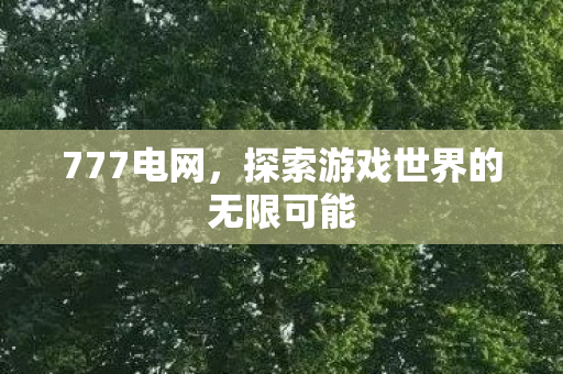 777电网，探索游戏世界的无限可能