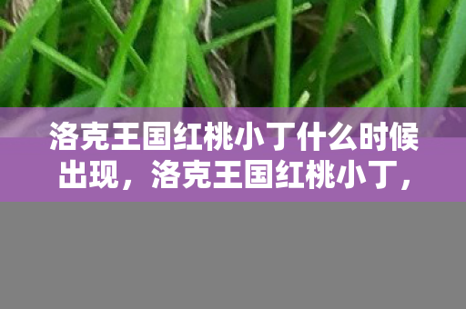 洛克王国红桃小丁什么时候出现，洛克王国红桃小丁，探索王国的奇妙冒险