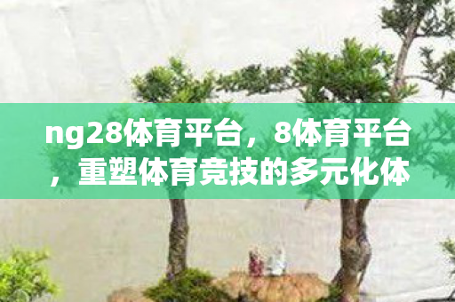 ng28体育平台，8体育平台，重塑体育竞技的多元化体验