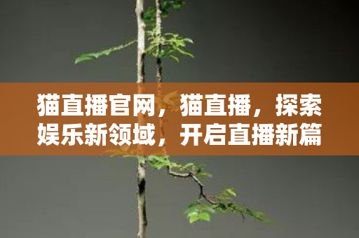 猫直播官网，猫直播，探索娱乐新领域，开启直播新篇章