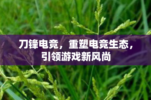 刀锋电竞，重塑电竞生态，引领游戏新风尚