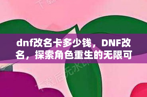 dnf改名卡多少钱，DNF改名，探索角色重生的无限可能