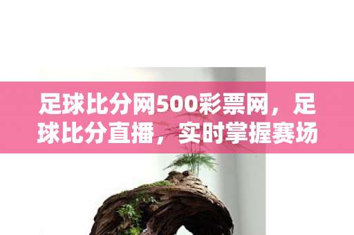 足球比分网500彩票网，足球比分直播，实时掌握赛场动态，畅享足球盛宴