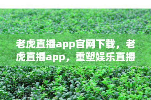 老虎直播app官网下载，老虎直播app，重塑娱乐直播新生态