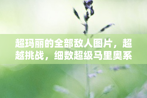 超玛丽的全部敌人图片，超越挑战，细数超级马里奥系列中的经典敌人