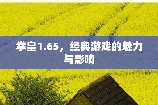 拳皇1.65，经典游戏的魅力与影响