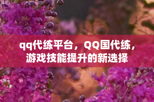 qq代练平台，QQ国代练，游戏技能提升的新选择