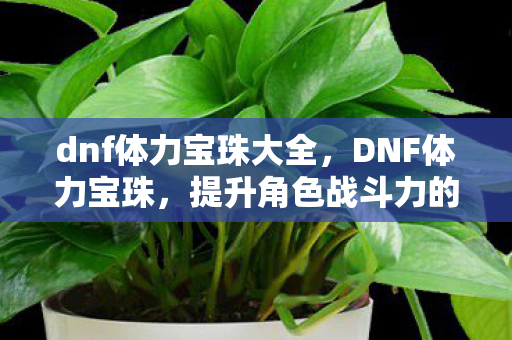 dnf体力宝珠大全，DNF体力宝珠，提升角色战斗力的关键